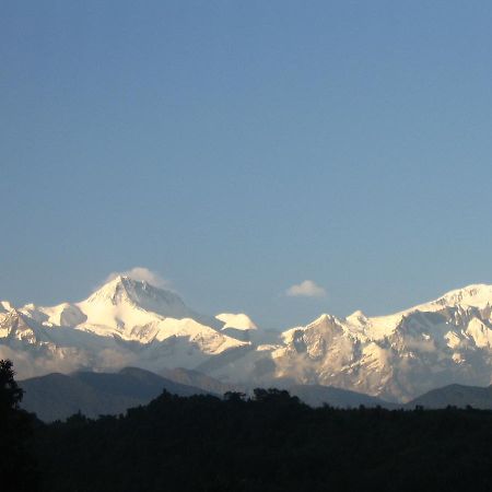 Pokhara Palace Hotel エクステリア 写真