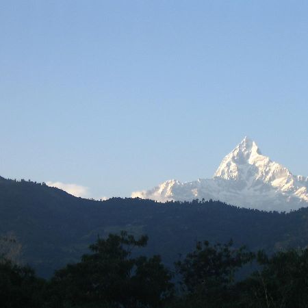 Pokhara Palace Hotel エクステリア 写真