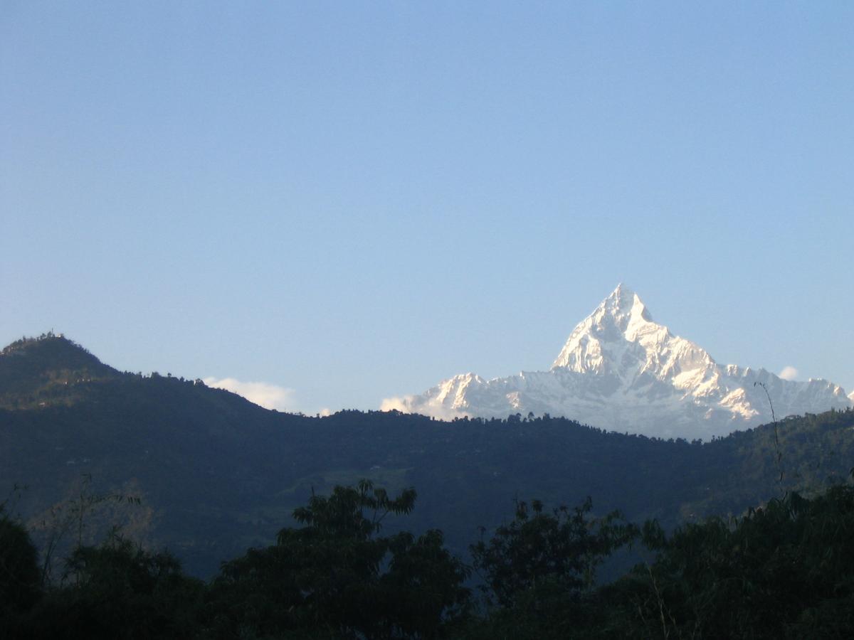 Pokhara Palace Hotel エクステリア 写真